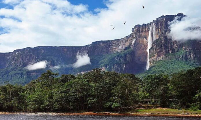 canaima