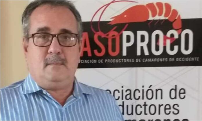 camarón exportaciones