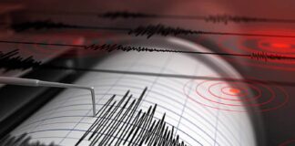 temblor Cumaná