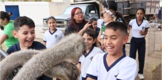 avestruces puente lago