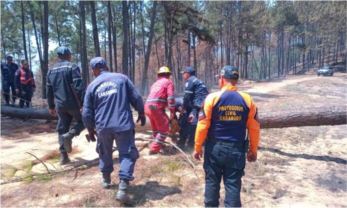 incendios forestales carabobo