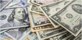 precio dólar 13 de enero