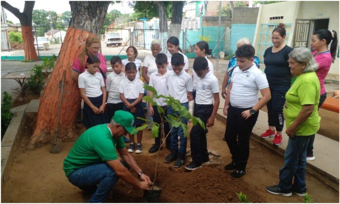 siembra árboles maracaibo