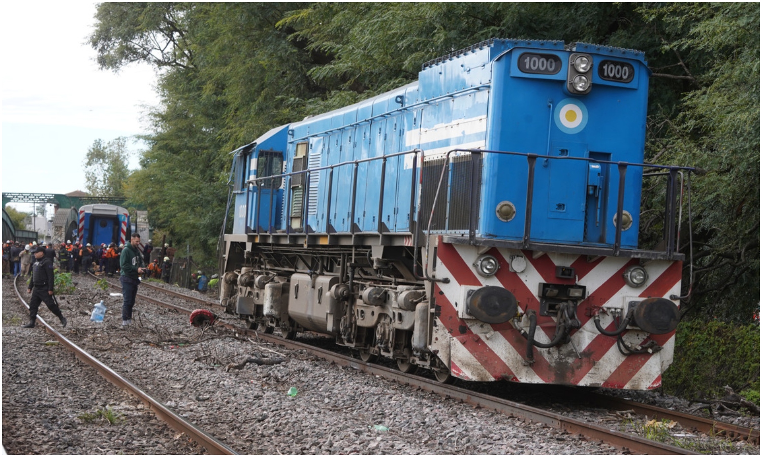 trenes argentina