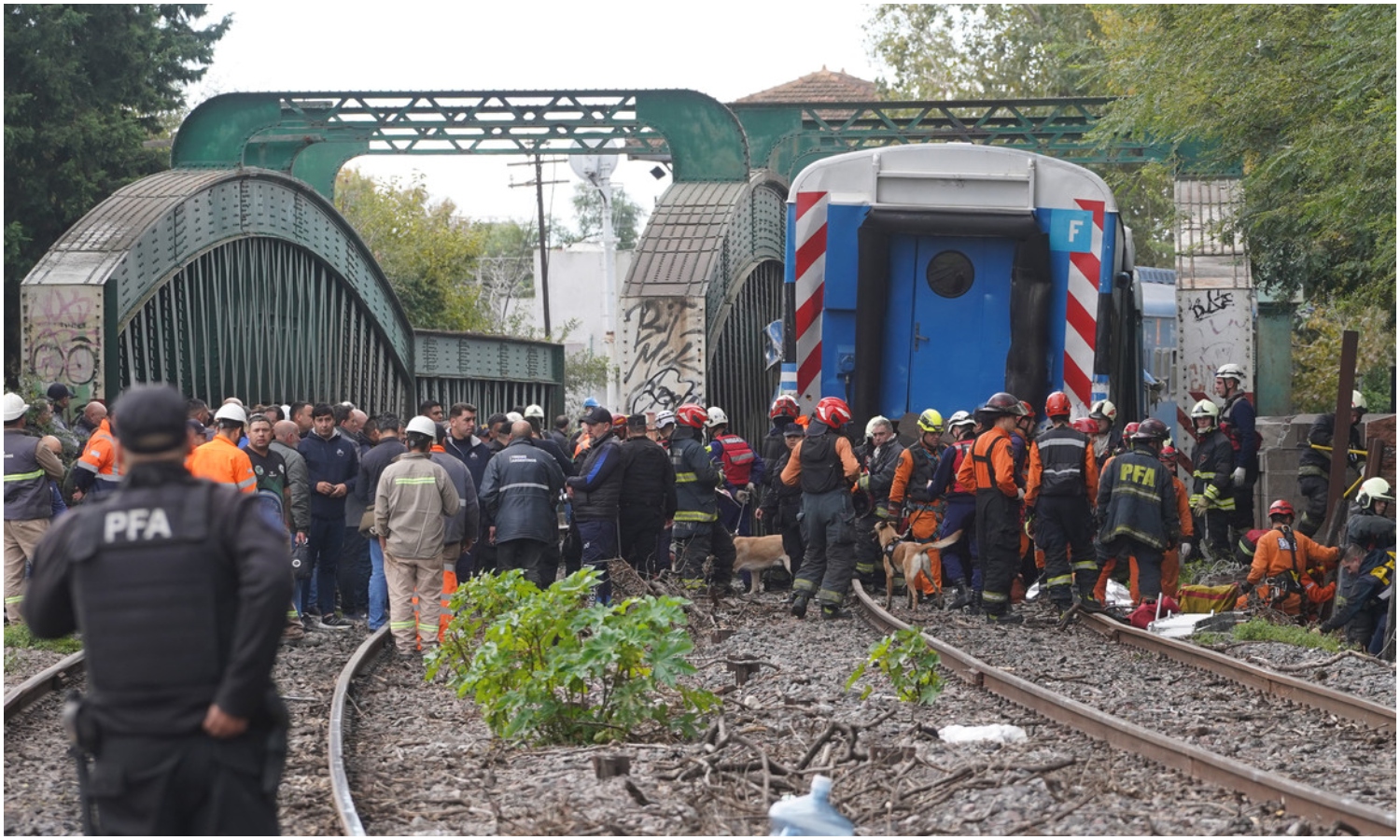 trenes argentina