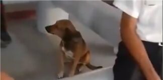 aeropuerto la habana