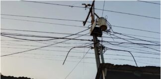 las amalias maracaibo