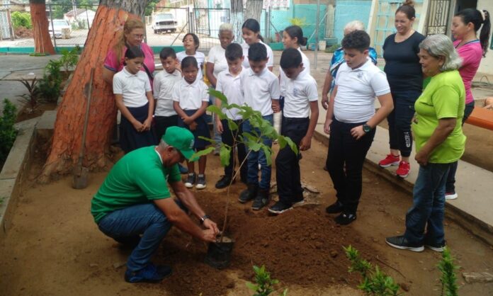 siembra árboles Maracaibo