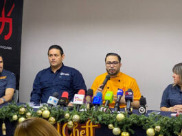 recetario navideño