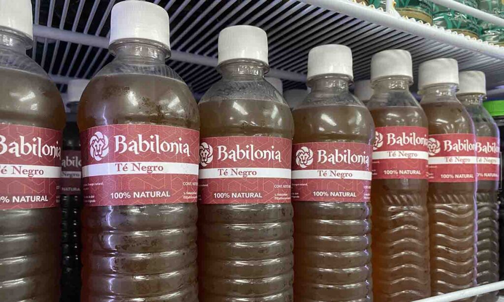té Babilonia